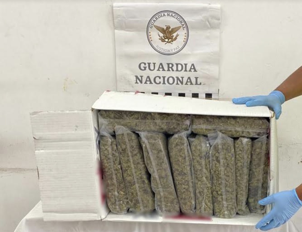 Frenan envío de marihuana entre Aguascalientes y Jalisco