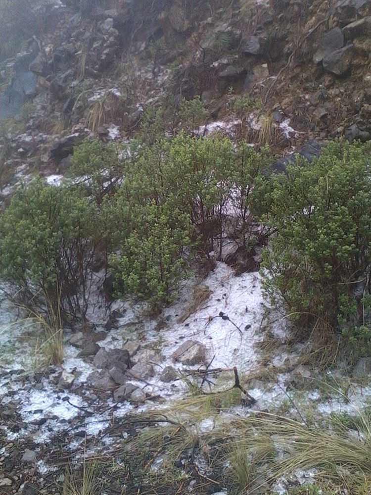 Caída de agua nieve y temperaturas bajo cero en la sierra de Puebla