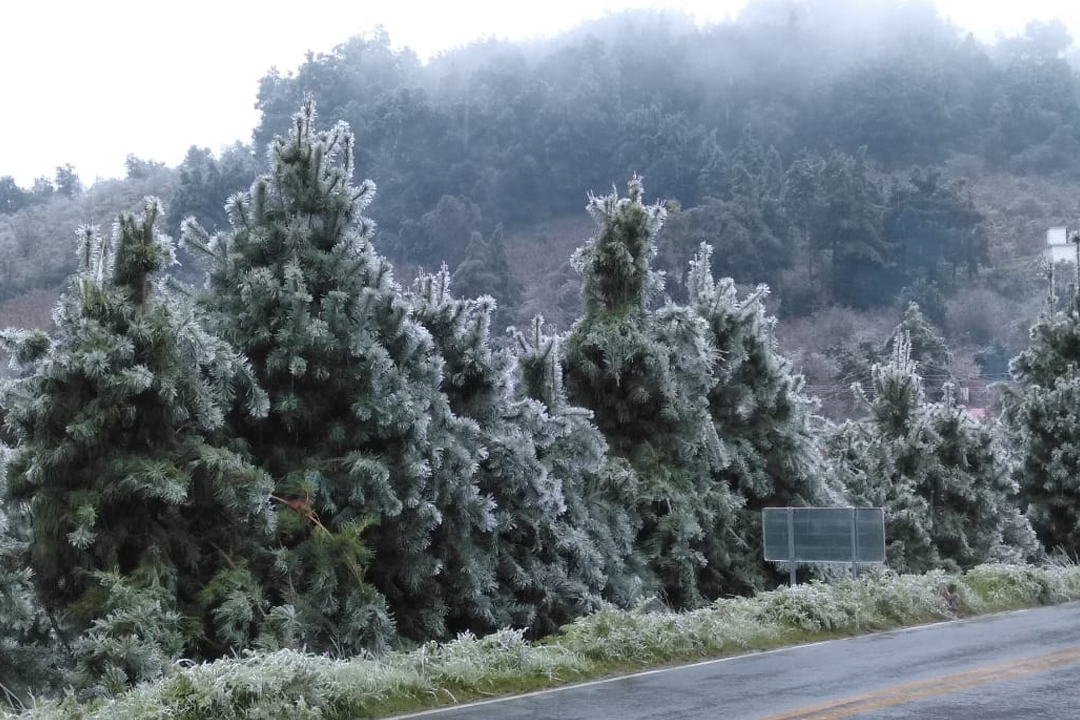 Esta tarde iniciará el solsticio de invierno