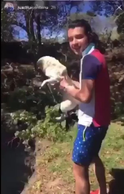 Entre risas, lanza violentamente a su mascota al agua #LordAvientaPerros