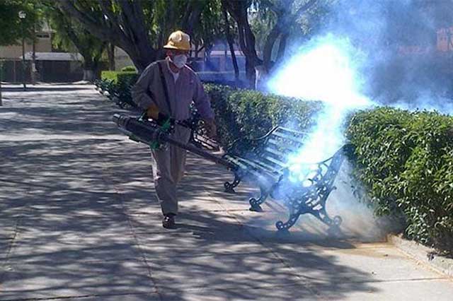 Con fumigaciones combatirán plaga de araña de picadura no mortal en Tehuacán