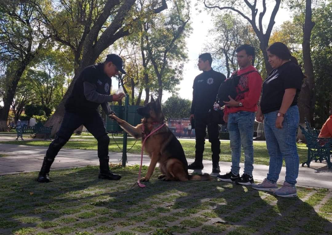 Impulsan curso de adiestramiento canino en San Pedro Cholula