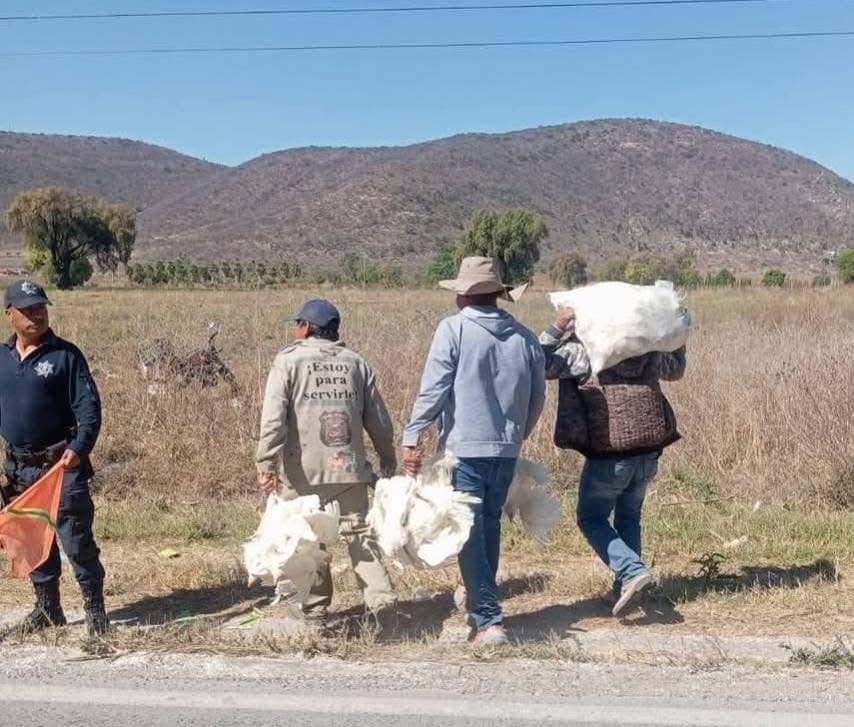 Se ignora procedencia de gallinas que transportaba el tráiler volcado en Chapulco