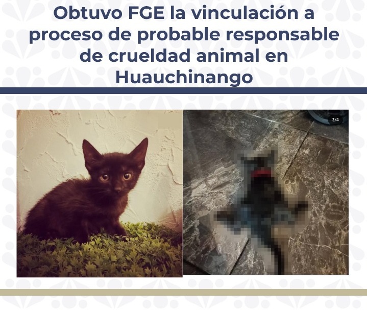 Lo vinculan a proceso por probable crueldad animal en Huauchinango
