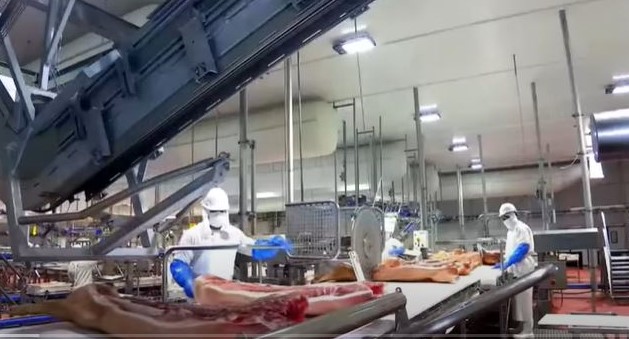 Granjas Carroll superará retos y desafíos en 2023 con su capital humano: VMO