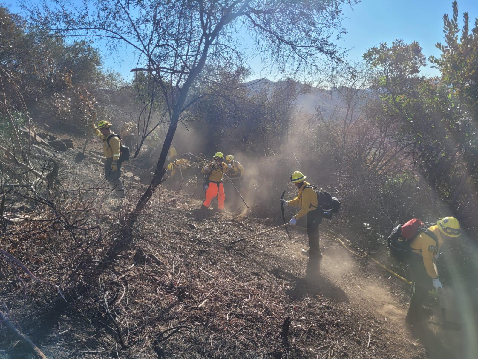 Equipo mexicano ya combate incendios en Los Ángeles