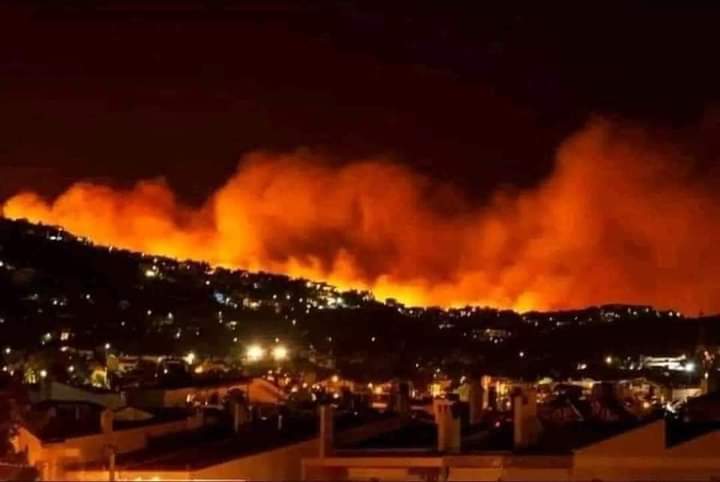 VIDEO Se registra impresionante incendio en las Cumbres de Maltrata