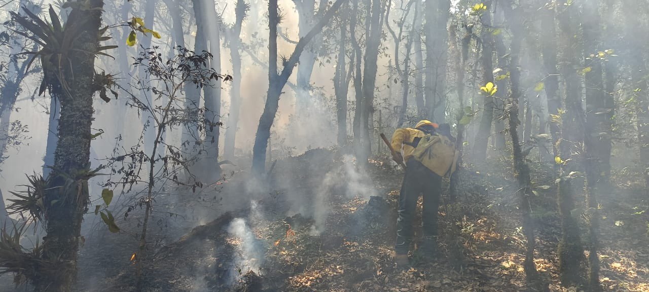 Confirma Céspedes que Conafor y PC extinguen incendio forestal en Coyomeapan
