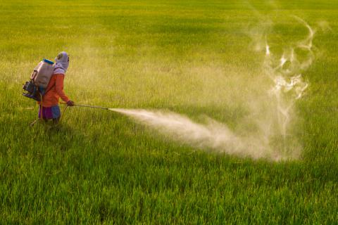 Pagará Bayer compensación millonaria por cáncer vinculado a herbicida