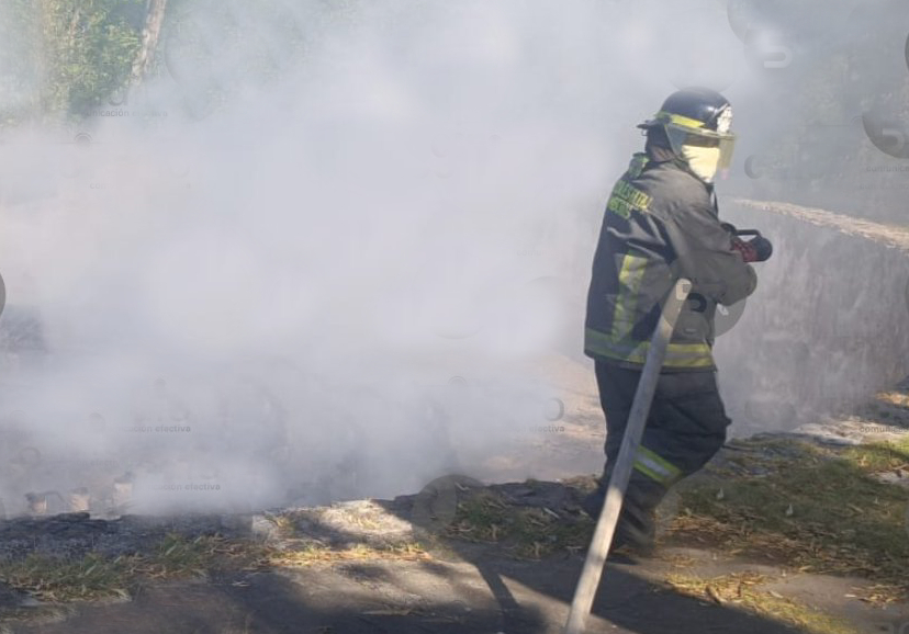 No se registran daños mayores tras incendio en el Parque de Ajedrez