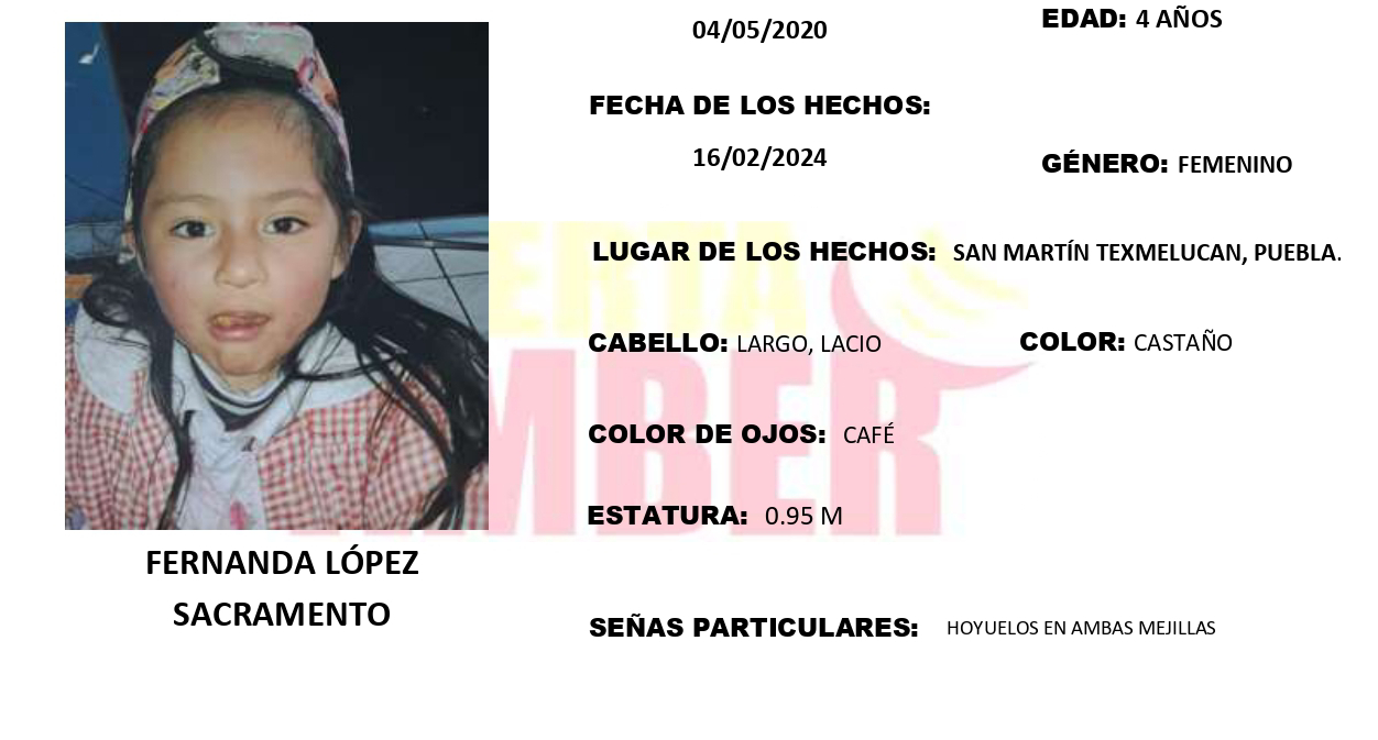 Activan Alerta Amber Por Fernanda De 4 Años Desapareció En Texmelucan