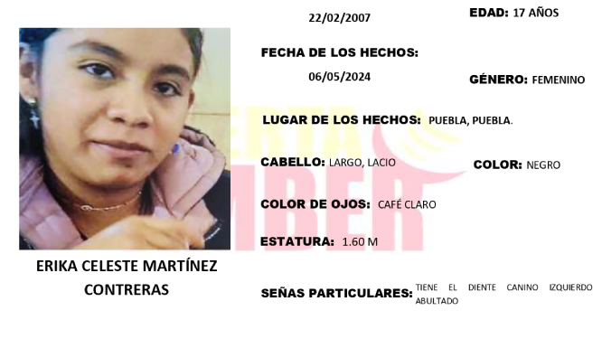 Erika de 17 años desaparecido en Barranca Honda en Puebla