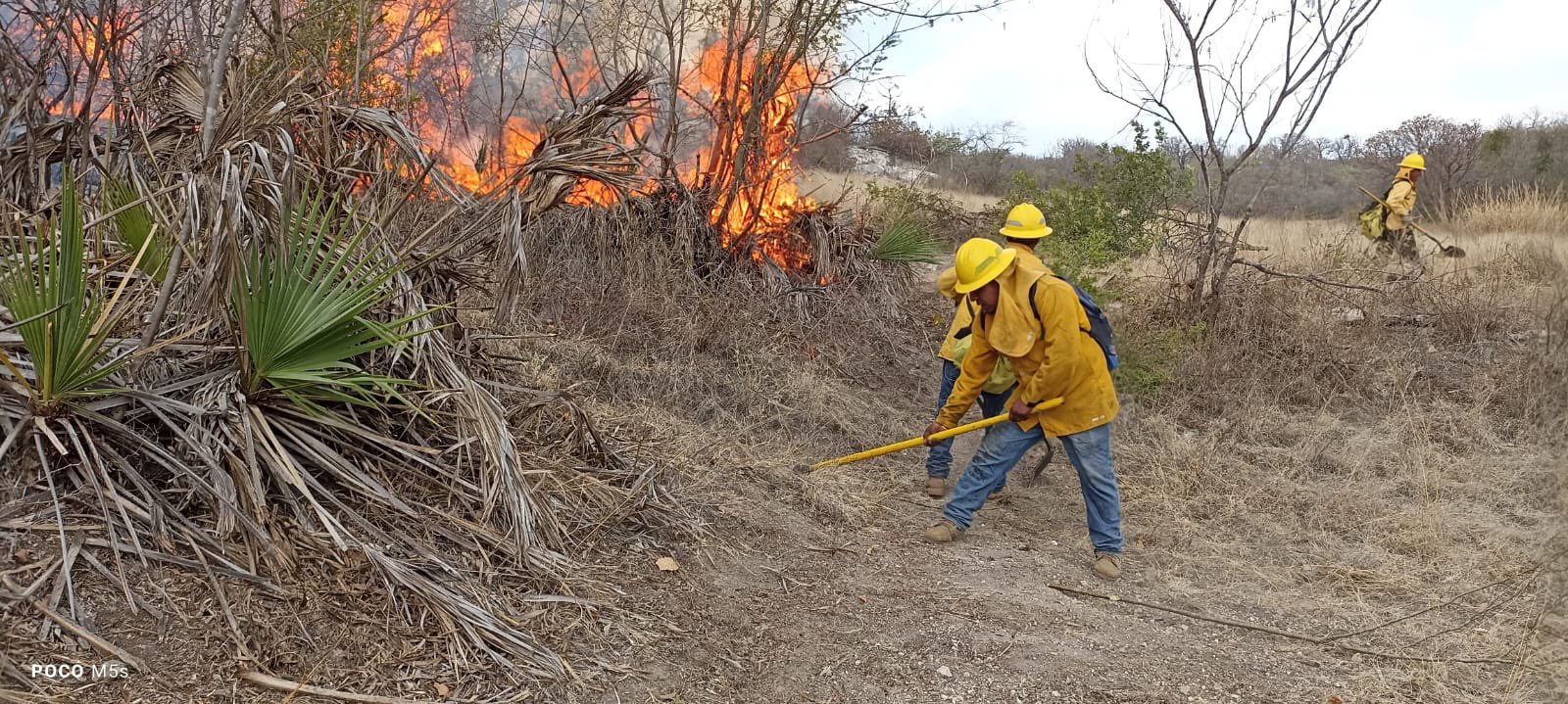 Incendios forestales en Ahuatempan y Tepexi, controlados al 90%