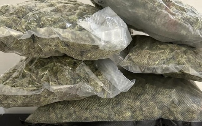 Incautan 129 paquetes de marihuana enviados por paquetería