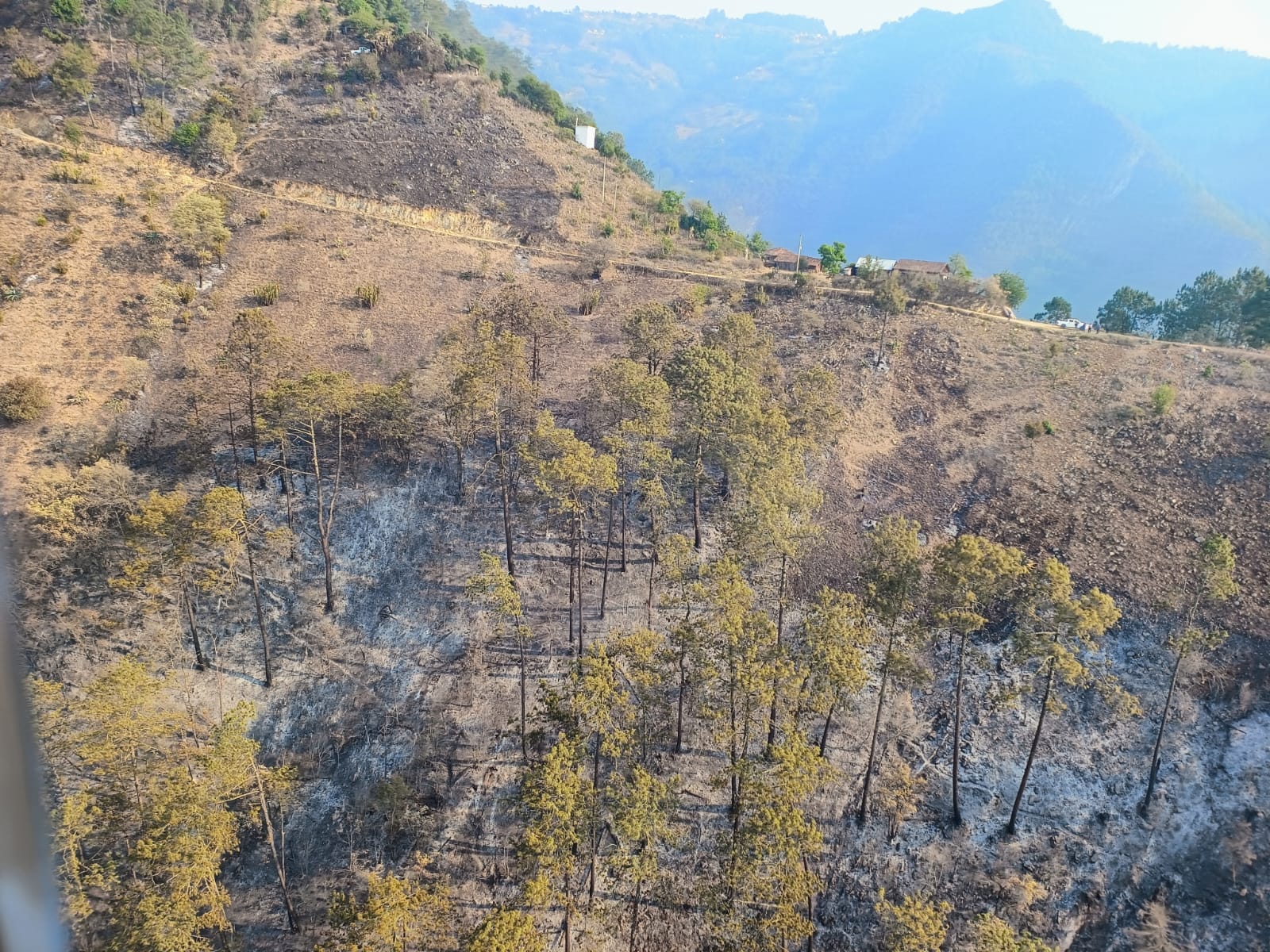 Incendio forestal de Zacatlán tiene un 80% de control: Medio Ambiente