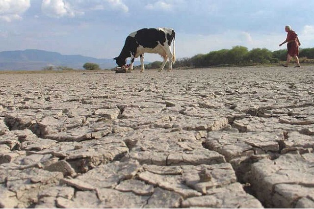 Sequías afectan casi el 40% de territorio mexicano