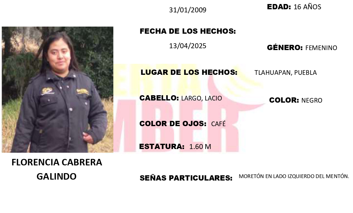 Activan Alerta Amber en Tlahuapan por desaparición de Florencia