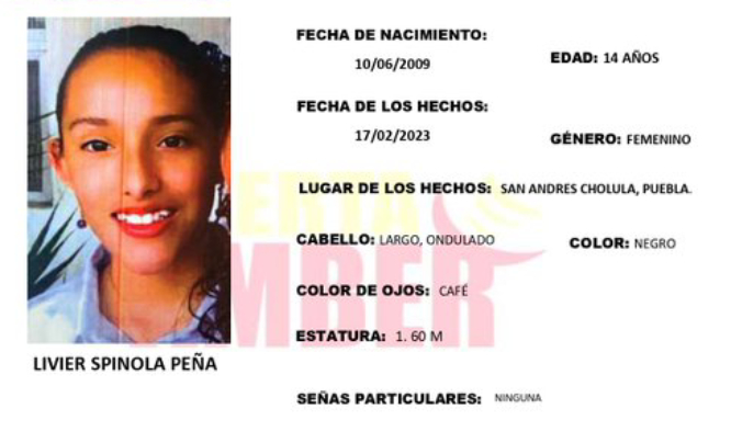 Livier de 14 años desapareció en calles de San Andrés Cholula