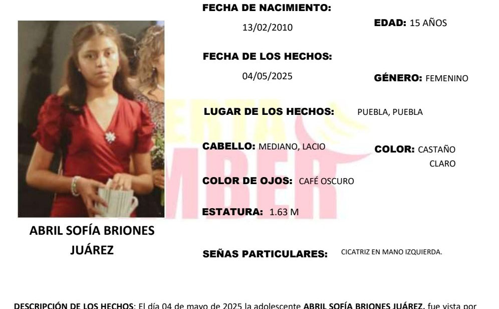 Activan Alerta Amber en Puebla por desaparición de Sofía en Loma Bonita