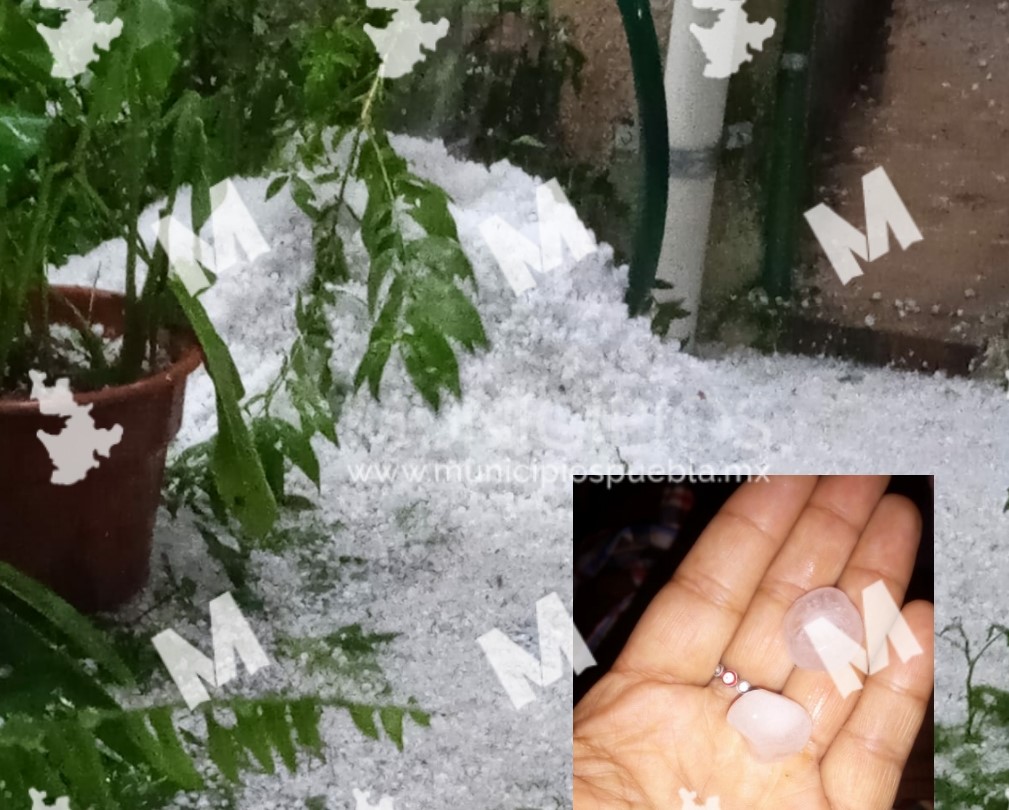 Granizo daña láminas de algunas viviendas en La Resurrección