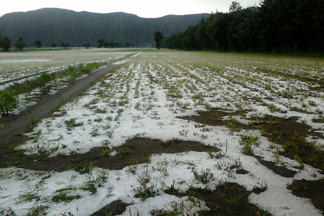 Granizo daña hectáreas de cultivos y carreteras en Tlachichuca