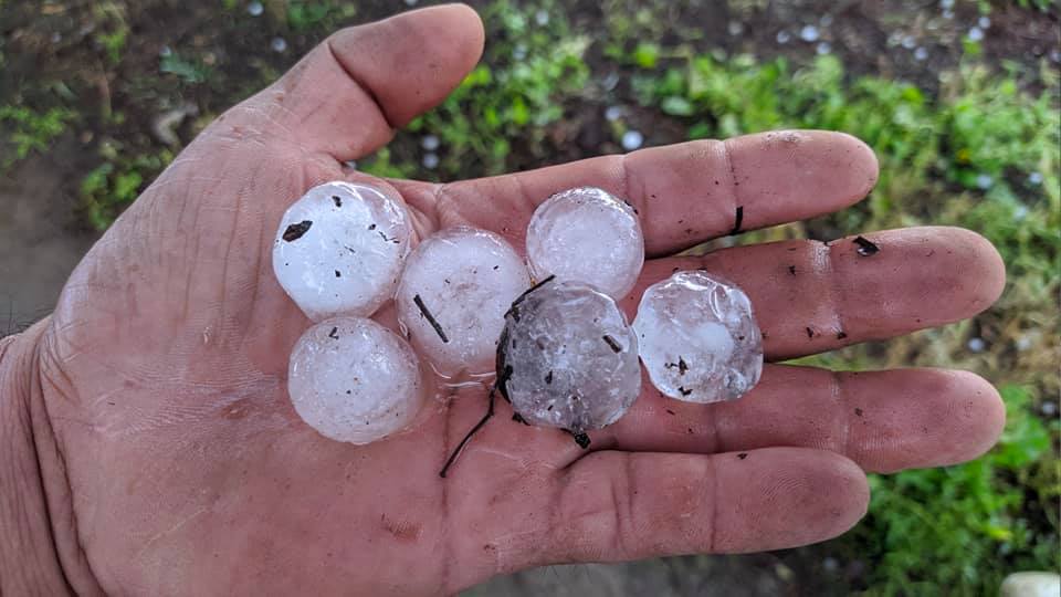 Granizada destruye cultivos en Quecholac, Acatzingo y Palmar de Bravo