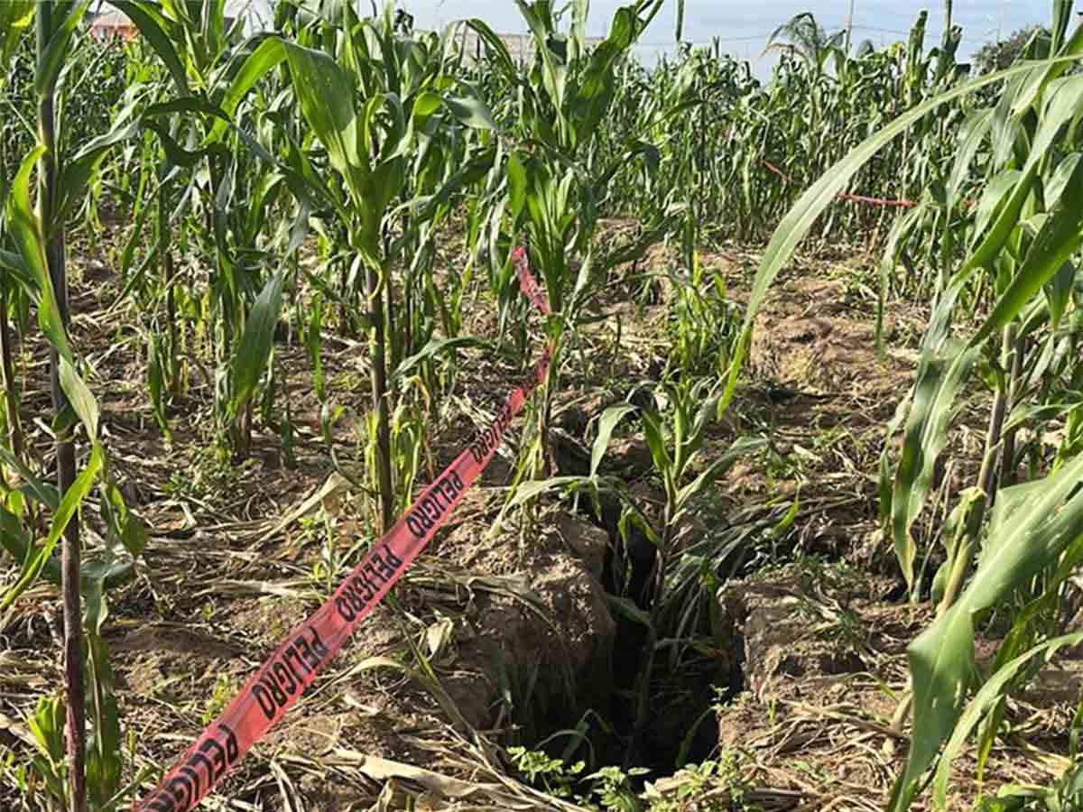 VIDEO Se forma misteriosa grieta de un kilómetro en terrenos del Edomex