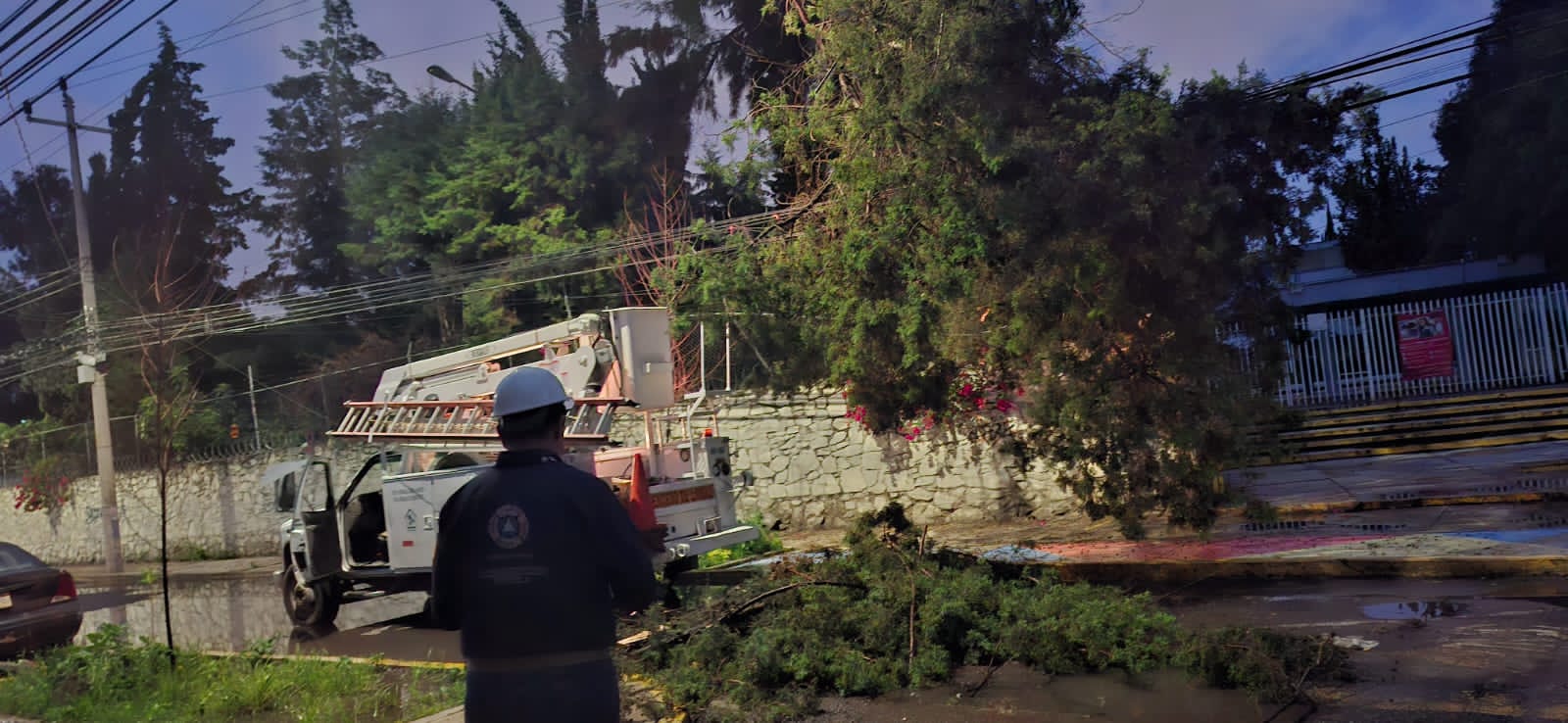 Reportan caída de árboles en inmediaciones de dos escuelas en Puebla 