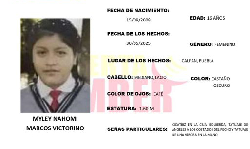 Se activa Alerta Amber por desaparición de Myley en Calpan