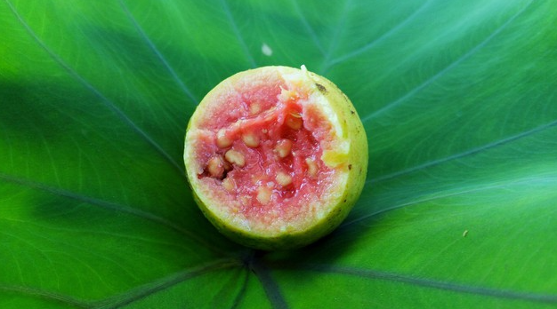 El dulce olor a la guayaba