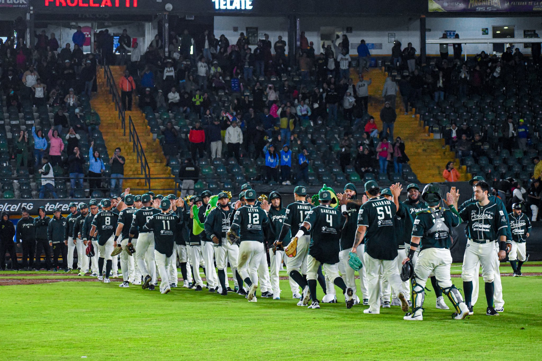 Arranca Pericos de Puebla su aventura en la segunda vuelta de la LMB