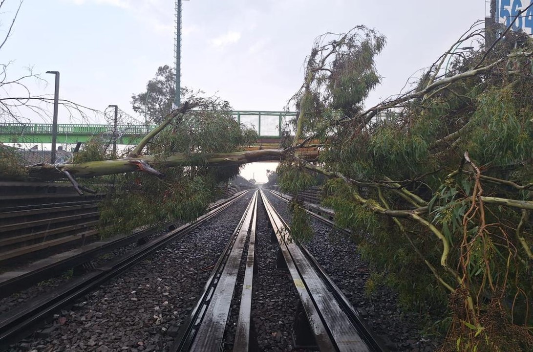 Caen árboles sobre la Línea B del Metro