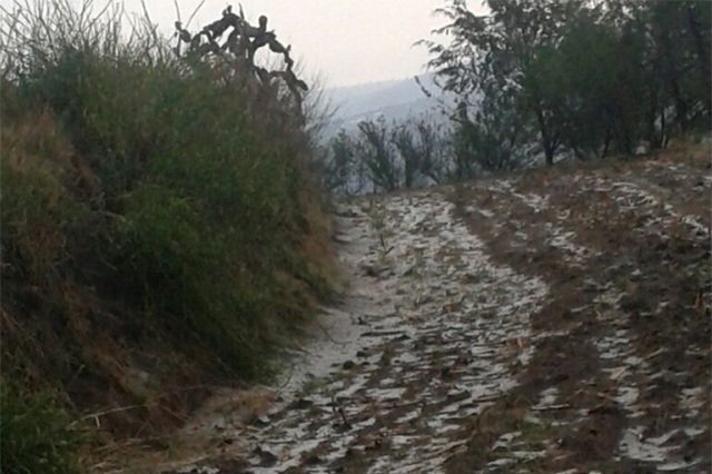Granizo daña 200 hectáreas de cultivos en Tlalancaleca  