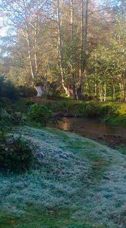 Intenso frío cubre de hielo el municipio de Teziutlán