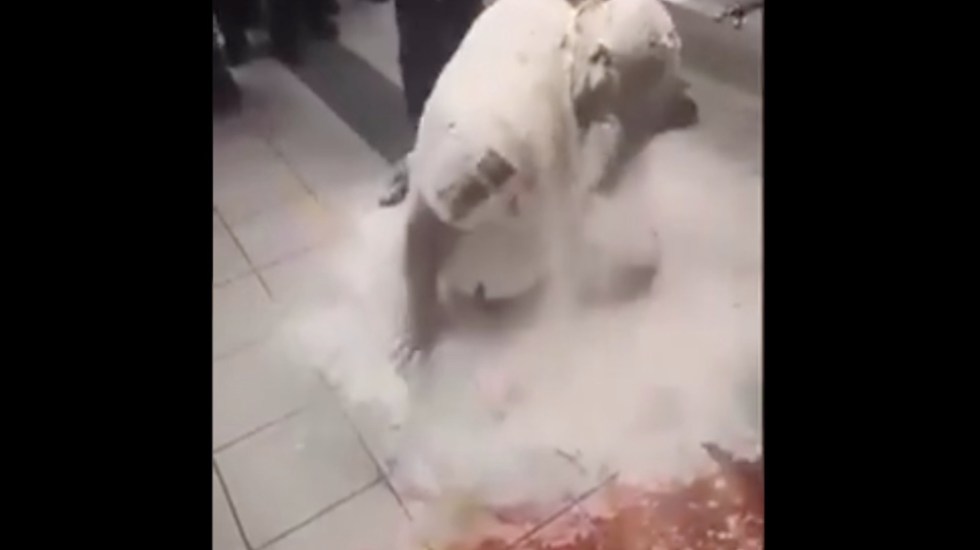 VIDEO Policía de Chihuahua, convertido en el hombre pizza por sus compañeros