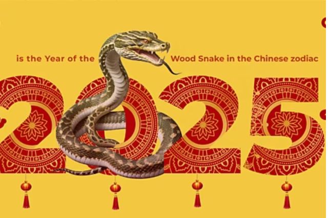 El Año de la Serpiente 2025: Qué esperar según el horóscopo chino