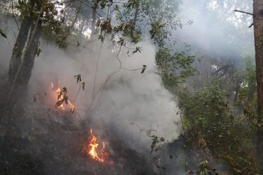 Huachinango inició el año con 10 incendios forestales