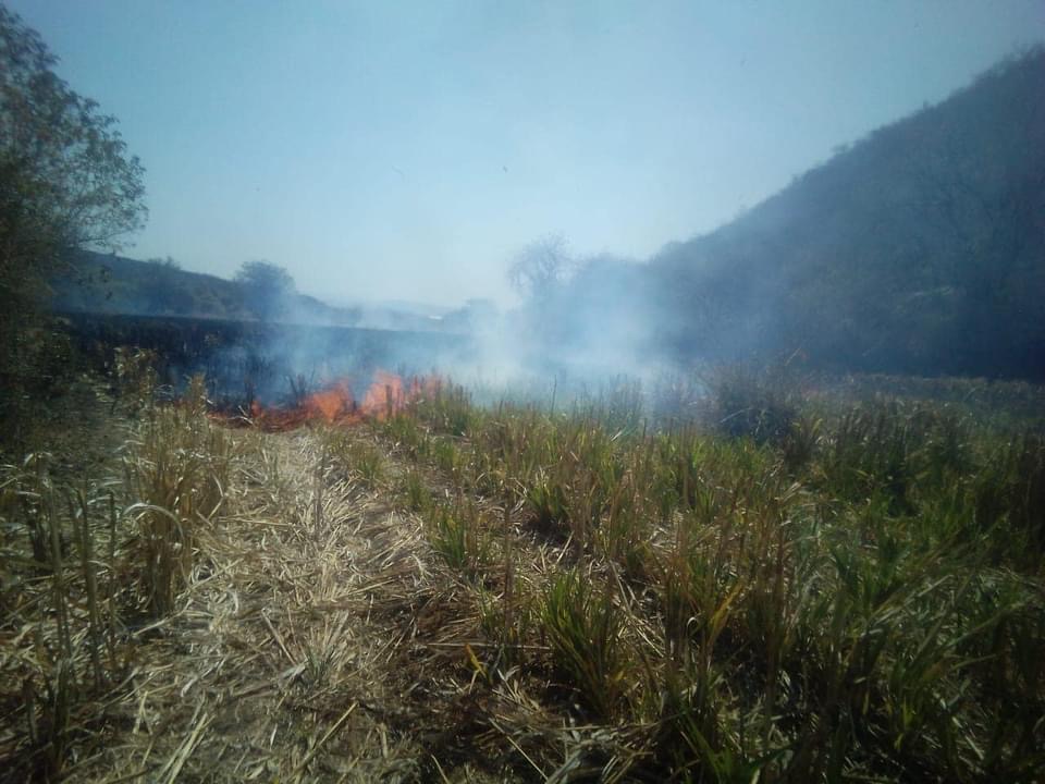 Arde Huaquechula por altas temperaturas e incendios forestales