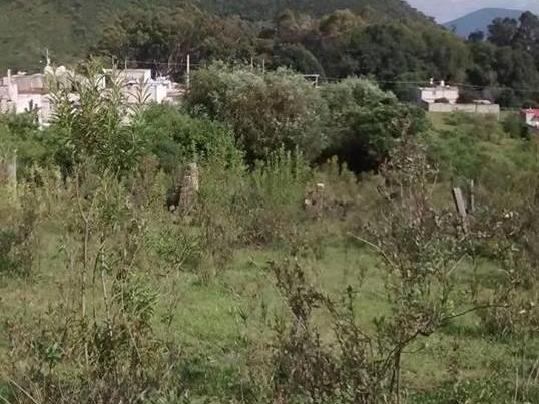 Encuentran sin vida a persona desaparecida en Huehuetlán 