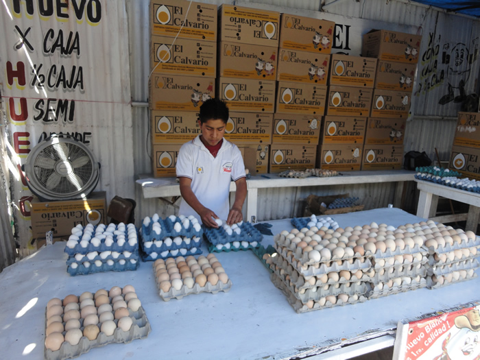 Analizan exporta huevo y pollo de Tehuacán a Holanda