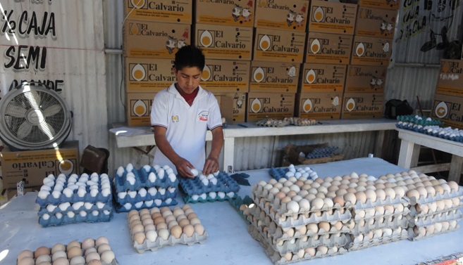 Puebla se mantiene en el segundo lugar nacional en producción de huevo