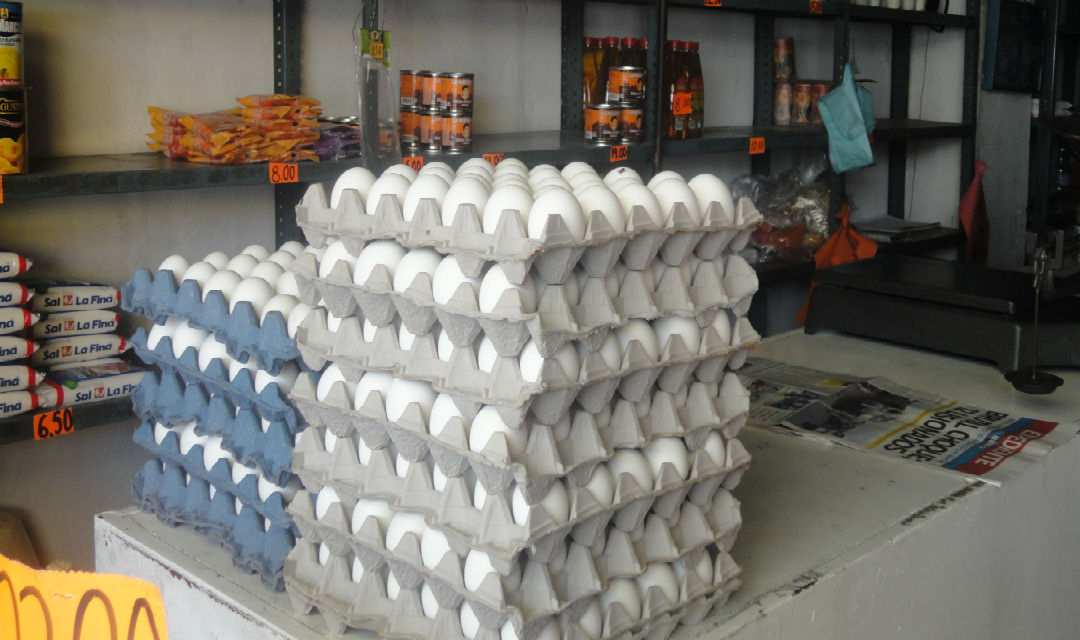 Aumenta precio del huevo en Tehuacán
