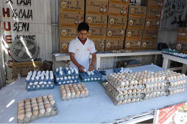 Continuarán decomisos de huevo importado de mala calidad en Tehuacán