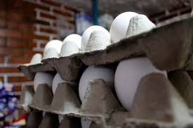 Avicultores reanudan distribución de huevo en el Triángulo Rojo