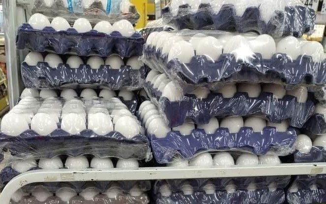 Tras afectaciones por gripe aviar avicultores prevén que se estabilice el precio del huevo