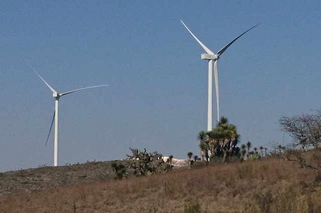 Iberdrola no cancelará parque fotovoltaico en Puebla: Barbosa