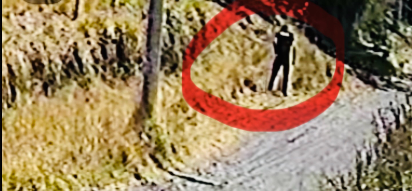 Captan a hombre incendiando 4 hectáreas en invernaderos de Atlixco
