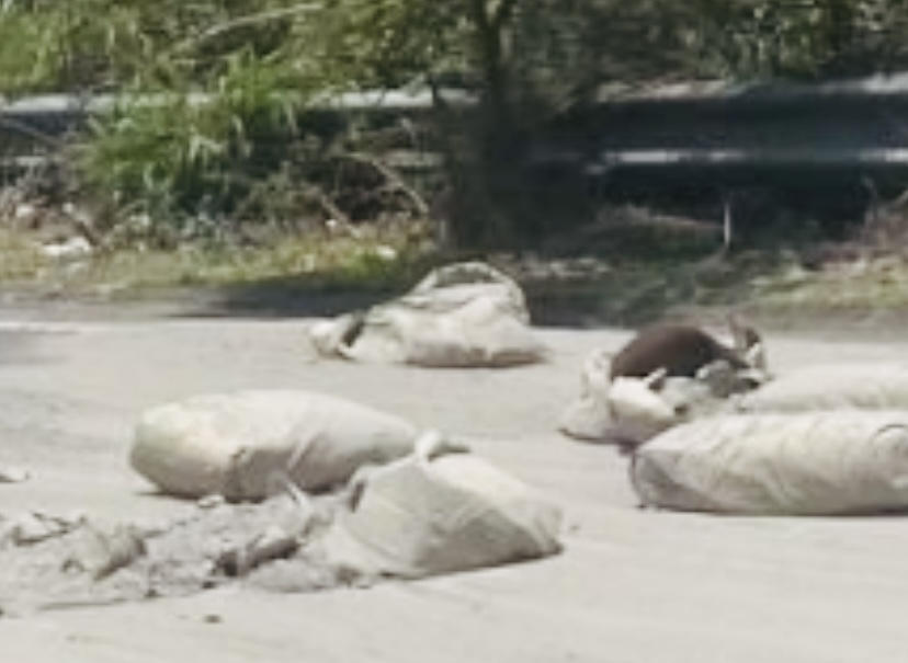 Bultos de cemento tirados en la Atlixco-Puebla complican tránsito en desviación a la vía Atlixcáyotl