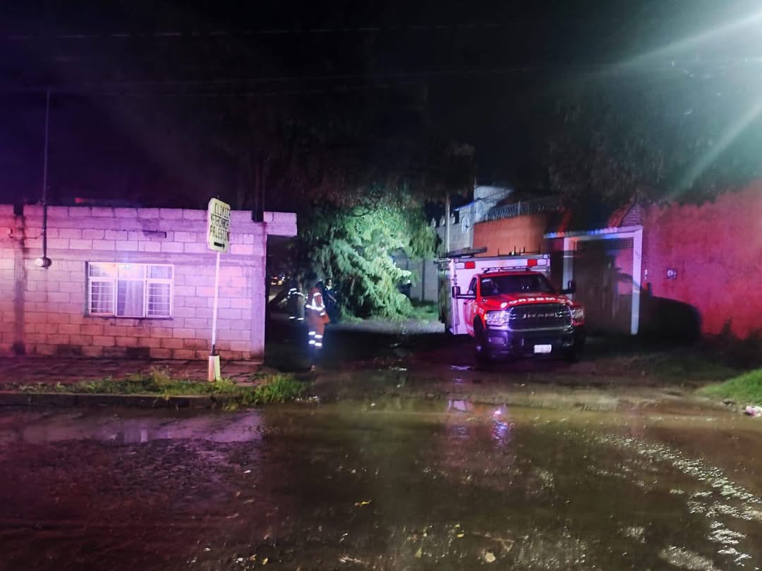 Lluvia en Atlixco derriba otro árbol en la mancha urbana
