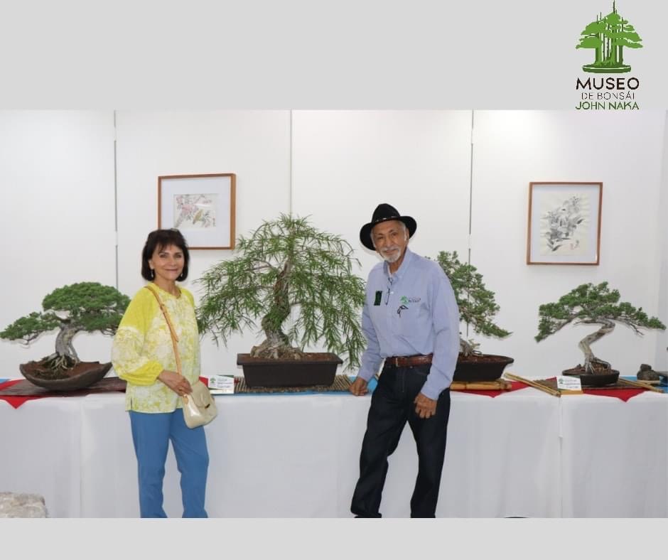Atlixquense expone sus árboles bonsái en la Ciudad de México